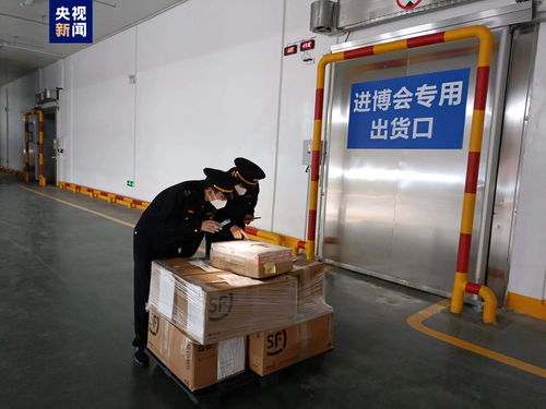 全面體檢為首批進口冷鏈展品保駕護航，第五屆進博會交通網絡立倉貫通