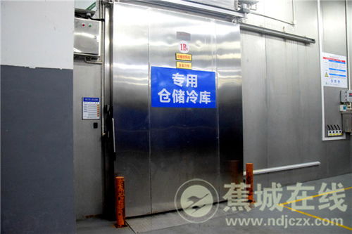 蕉城進口冷鏈食品集中監管倉正式運行 “立倉網絡”織密防疫安全網